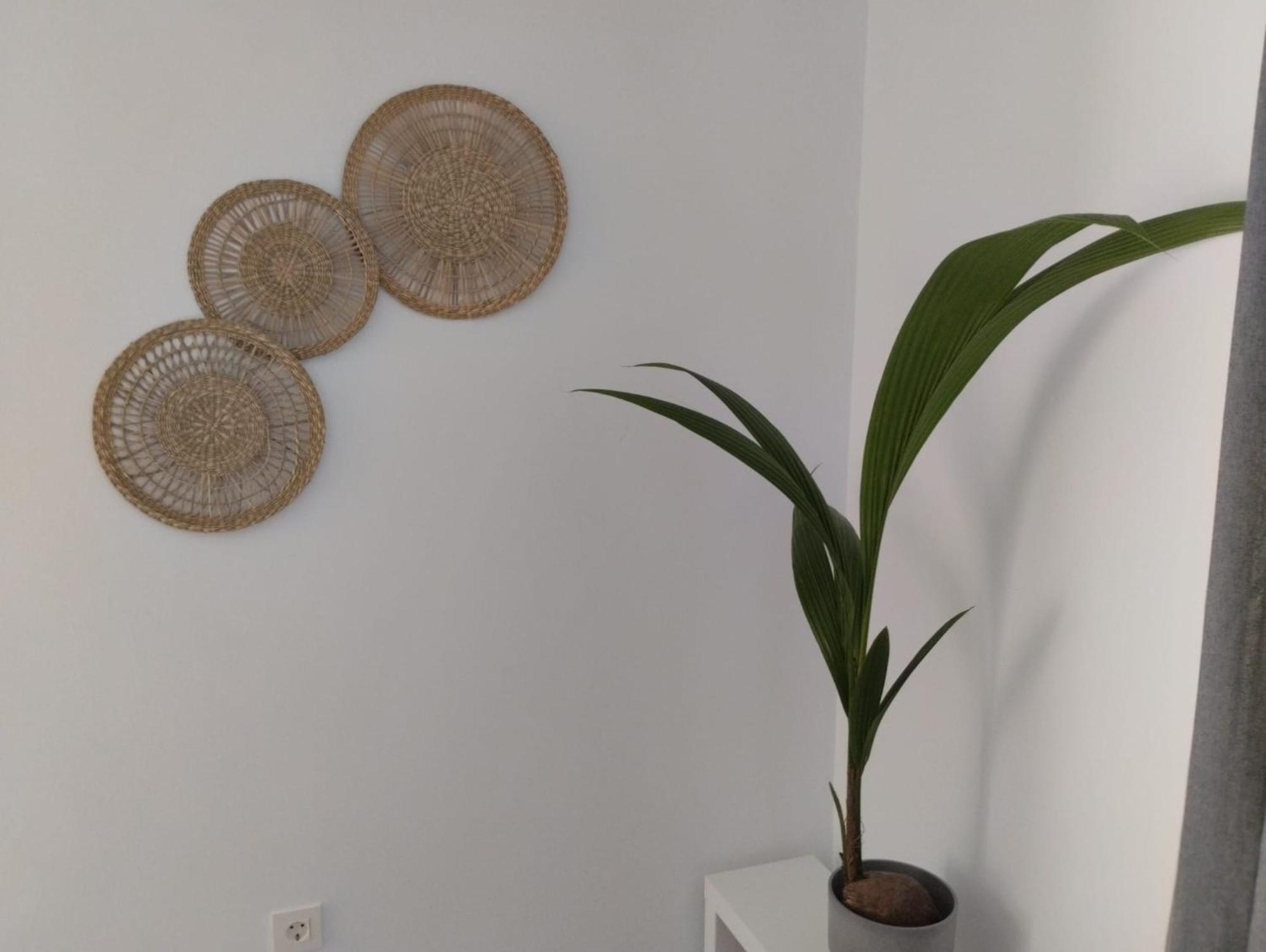 Apartamento Sun Gate Jerez de la Frontera Zewnętrze zdjęcie